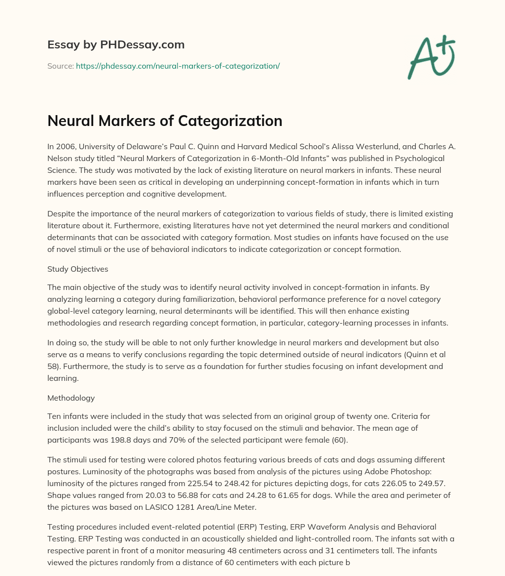 Neural Markers of Categorization essay