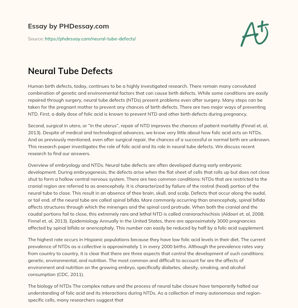 Neural Tube Defects essay