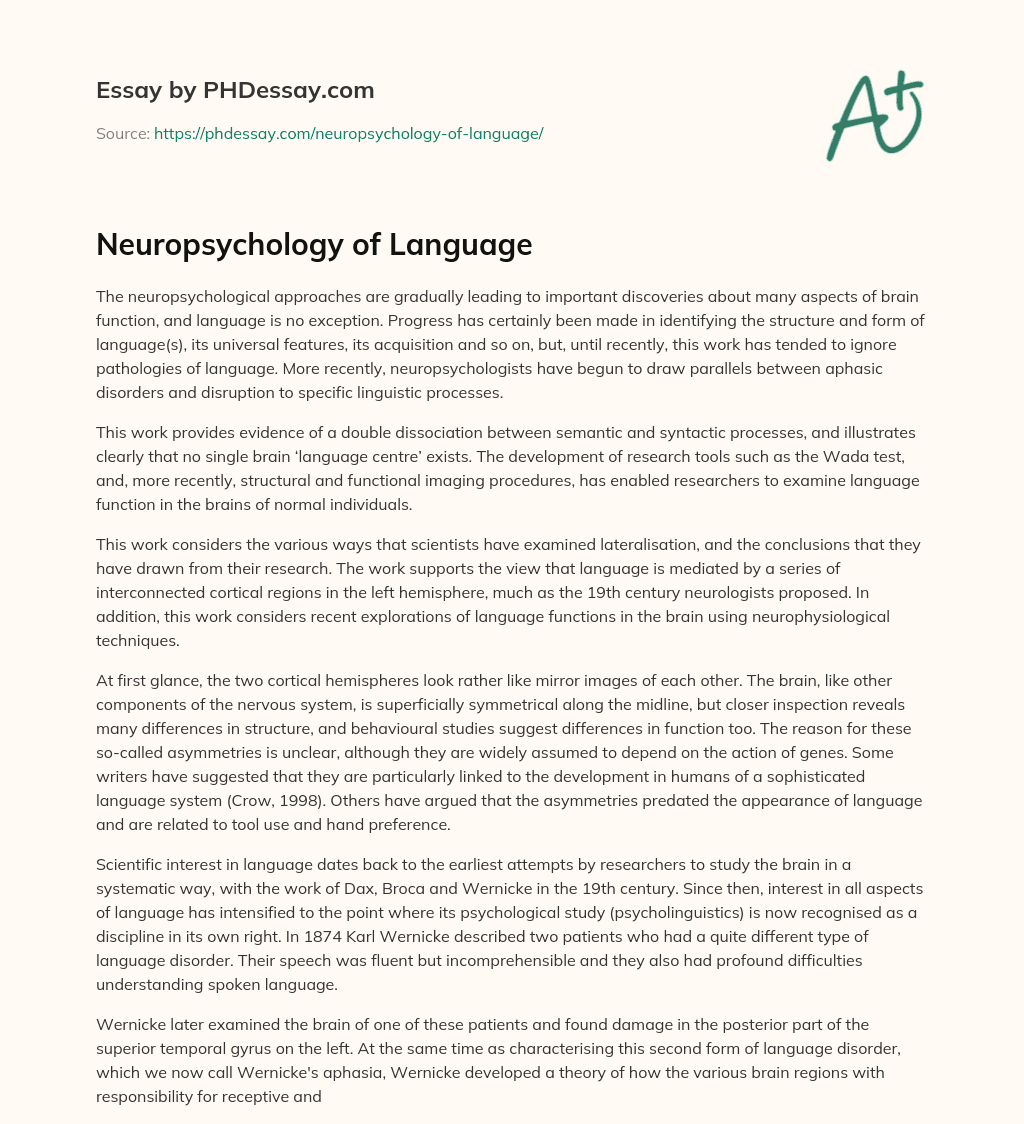Neuropsychology of Language essay