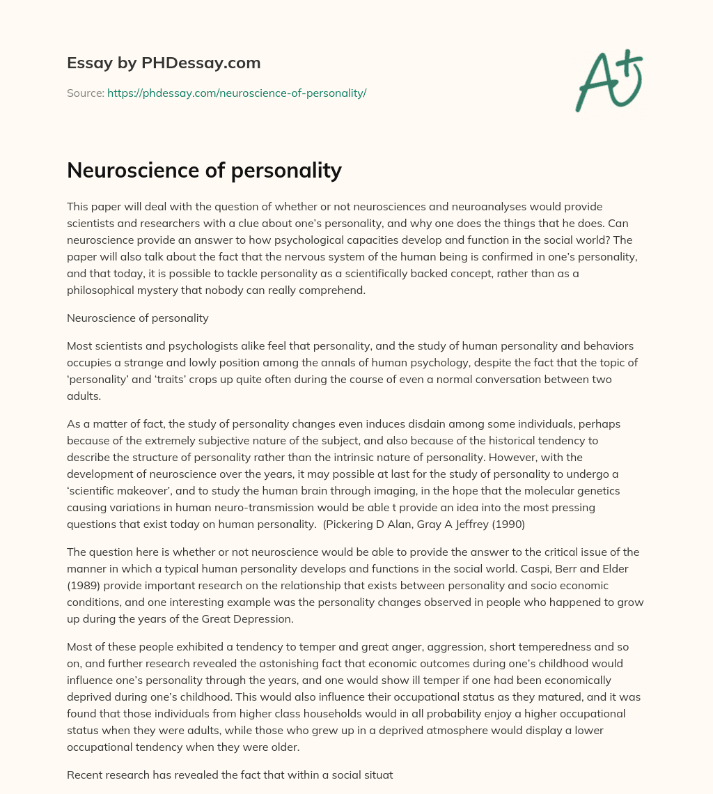 Neuroscience of personality essay