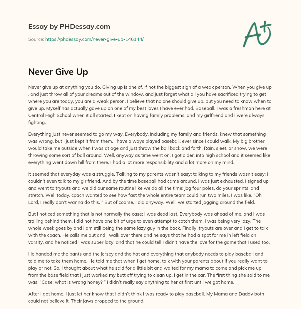 never never give up essay
