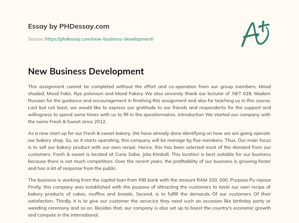 importance of business development essay