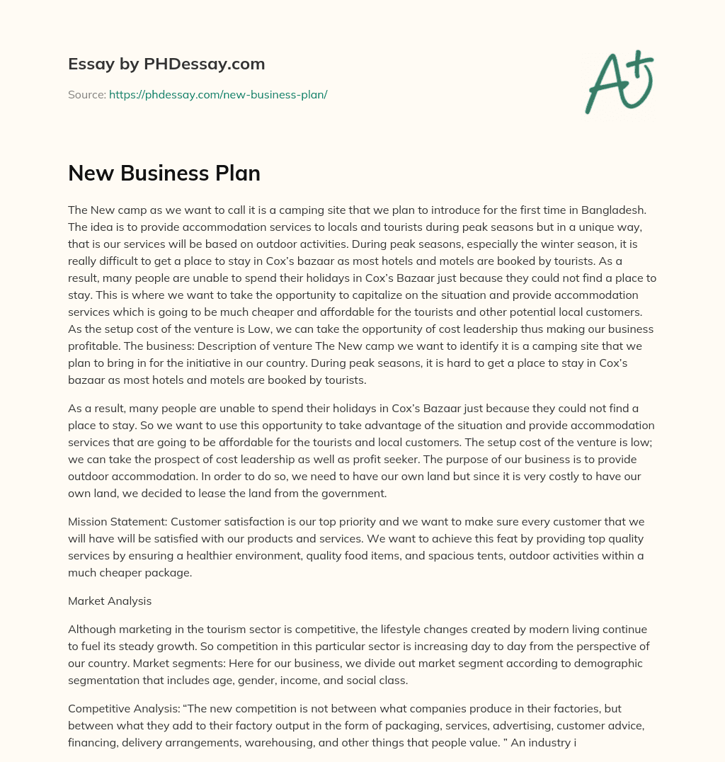 New Business Plan essay