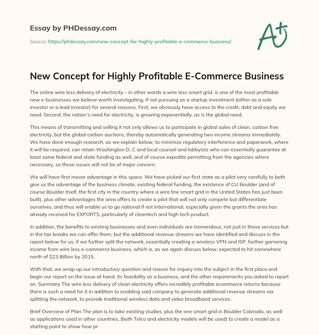 New Concept for Highly Profitable E-Commerce Business essay