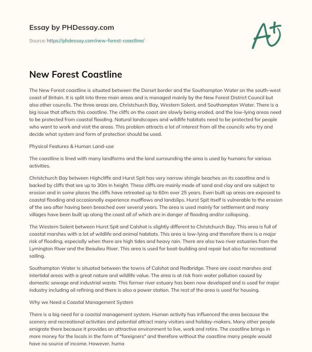 New Forest Coastline essay