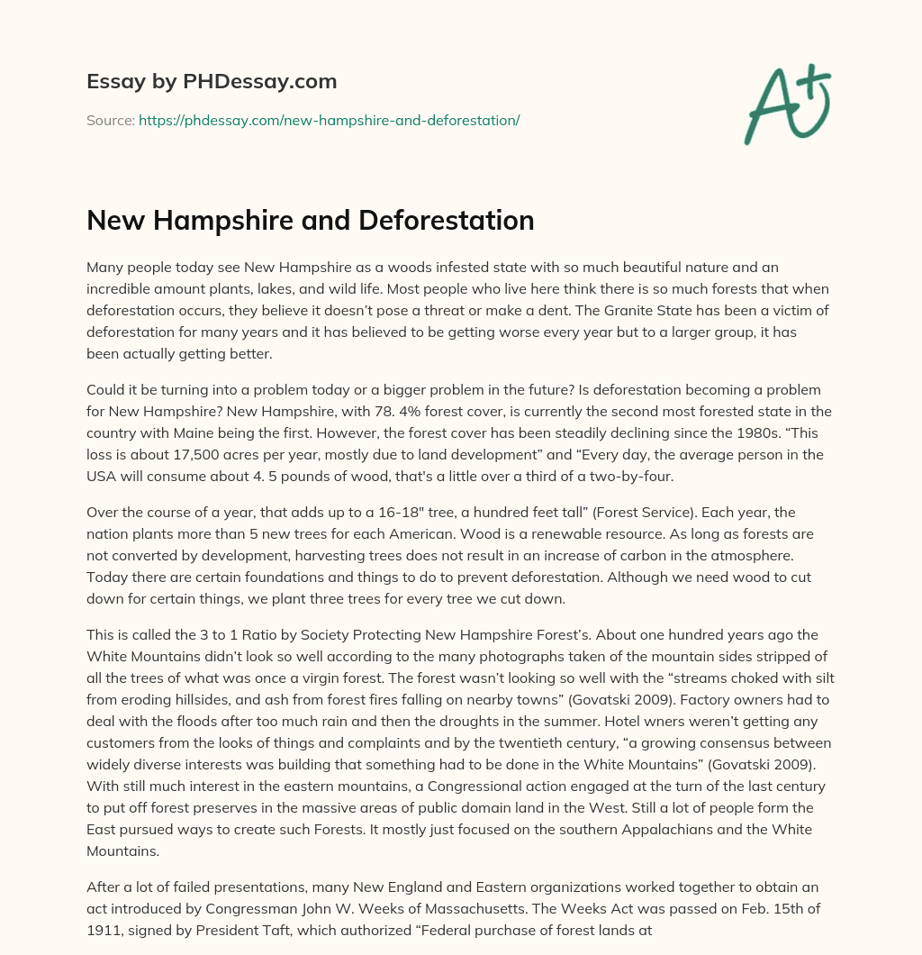 New Hampshire and Deforestation essay