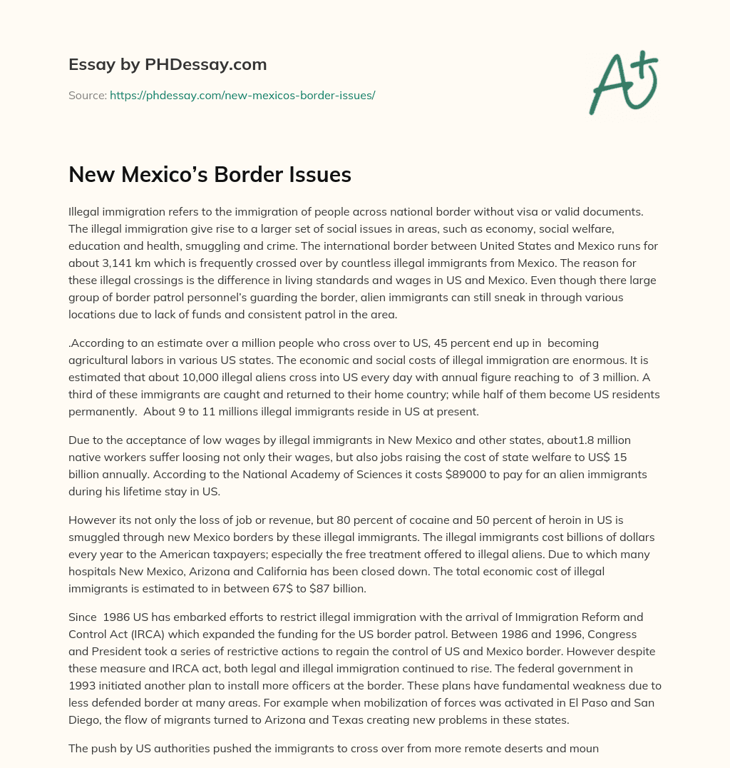 New Mexico’s Border Issues essay