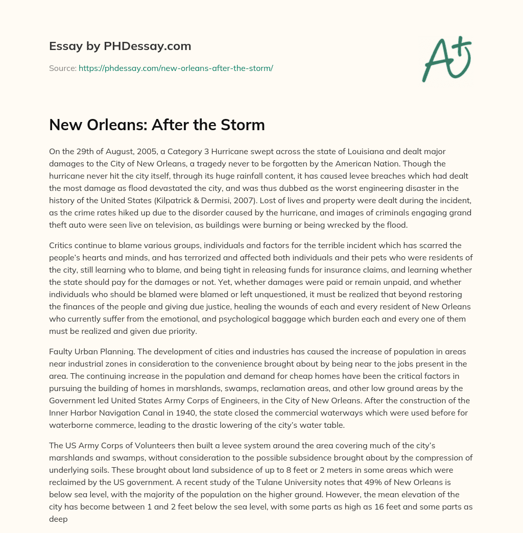 New Orleans: After the Storm essay