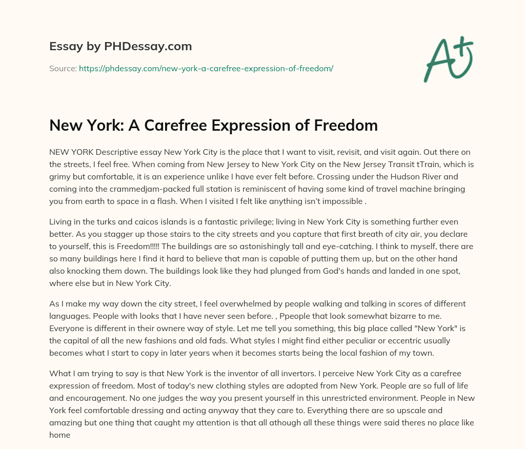New York: A Carefree Expression of Freedom essay