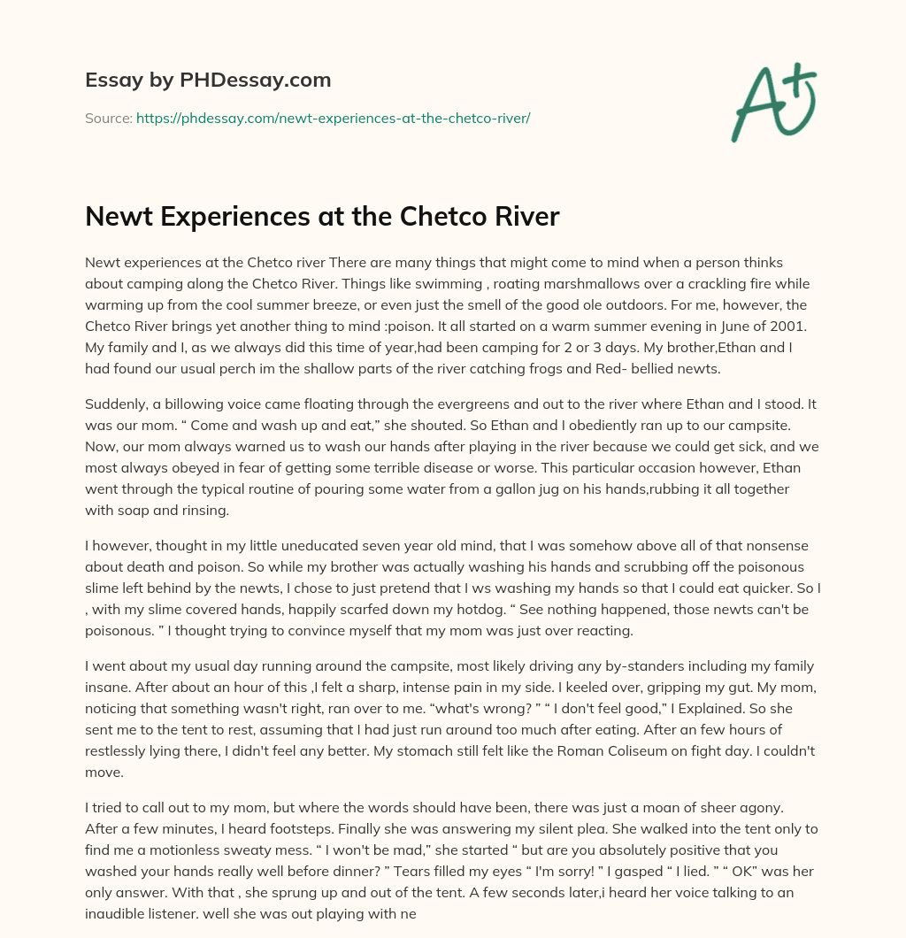 Newt Experiences at the Chetco River essay
