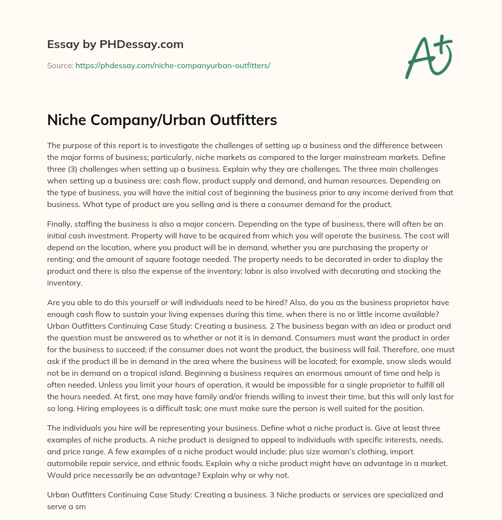 Niche Company/Urban Outfitters essay