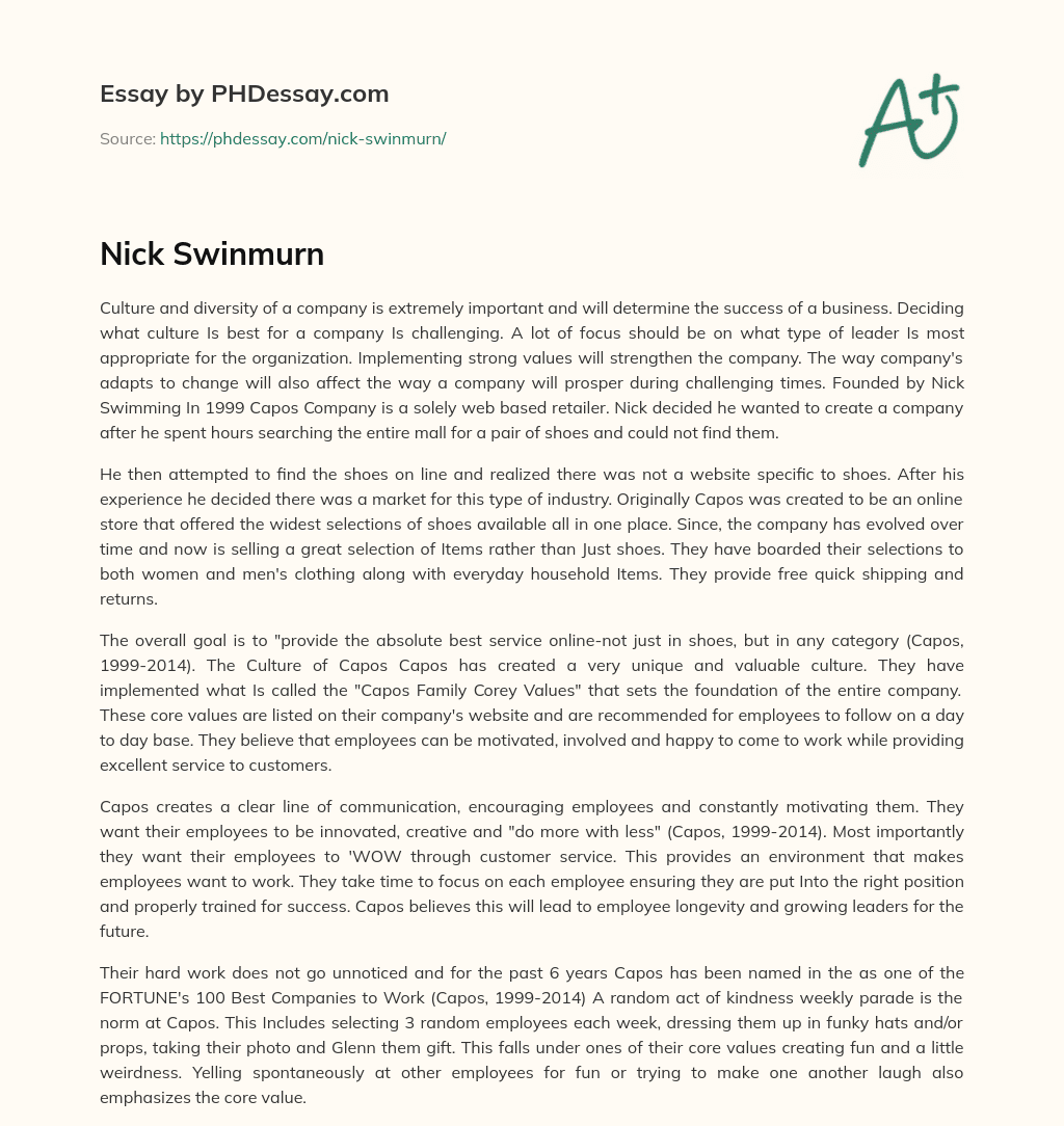 Nick Swinmurn essay