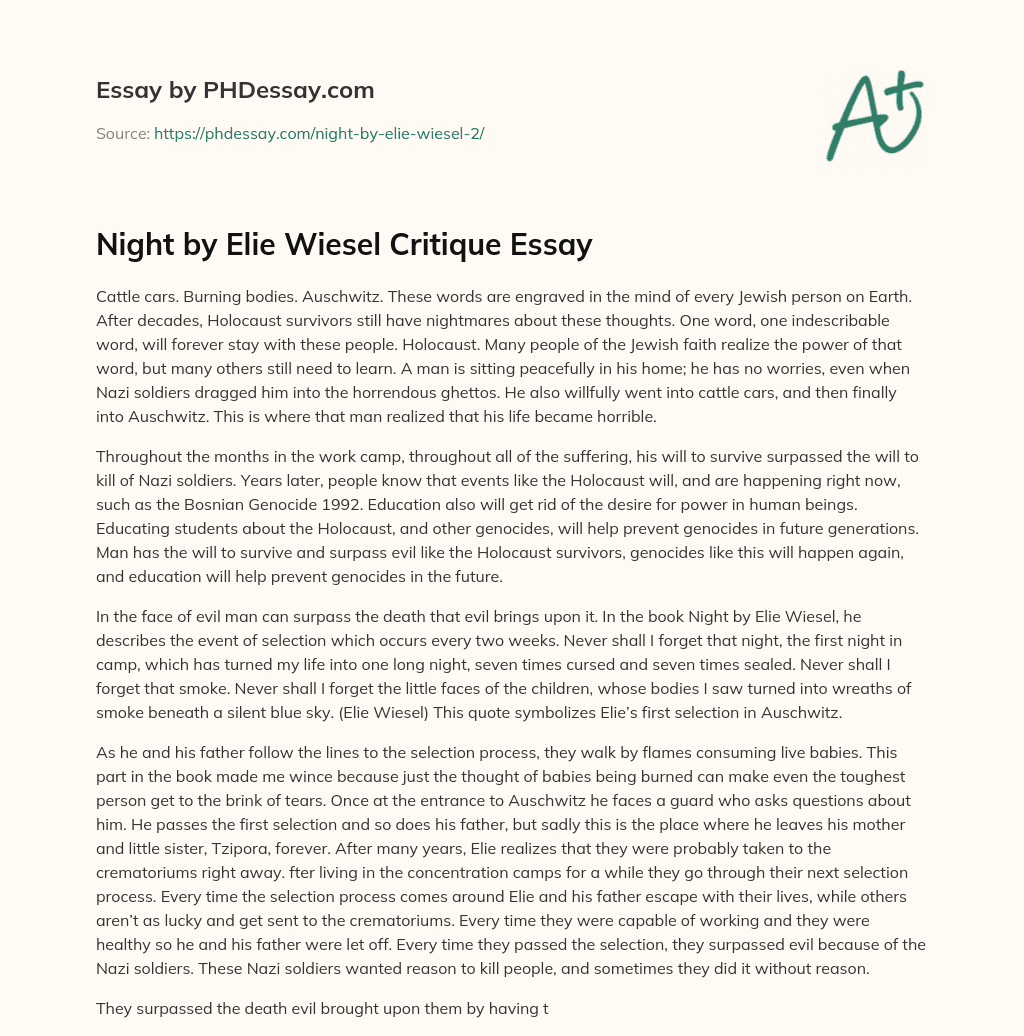 Night by Elie Wiesel Critique Essay essay