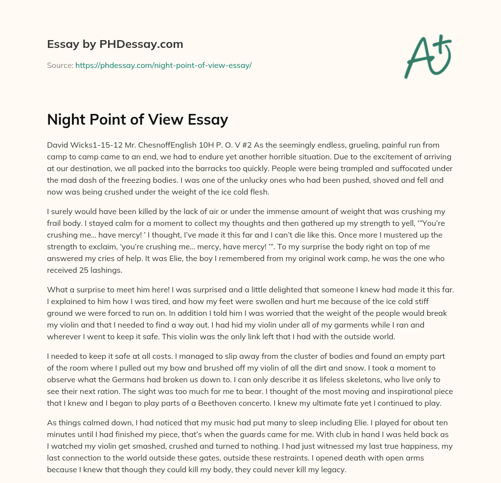 Night Point of View Essay (500 Words)