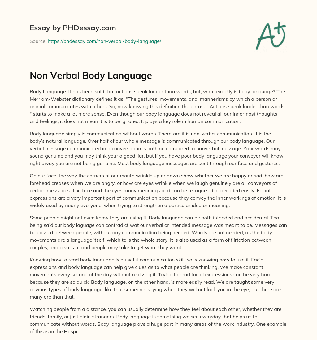 Non Verbal Body Language essay