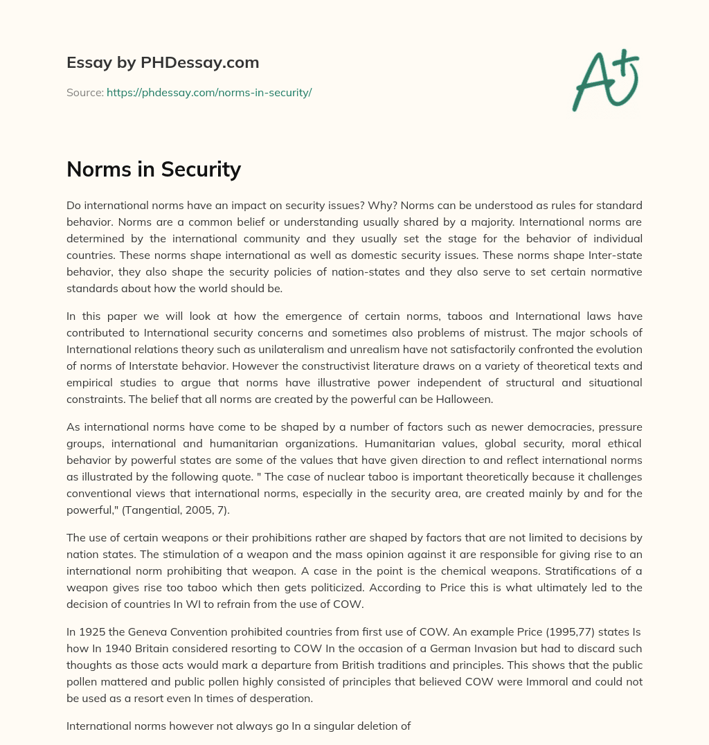 Norms in Security essay