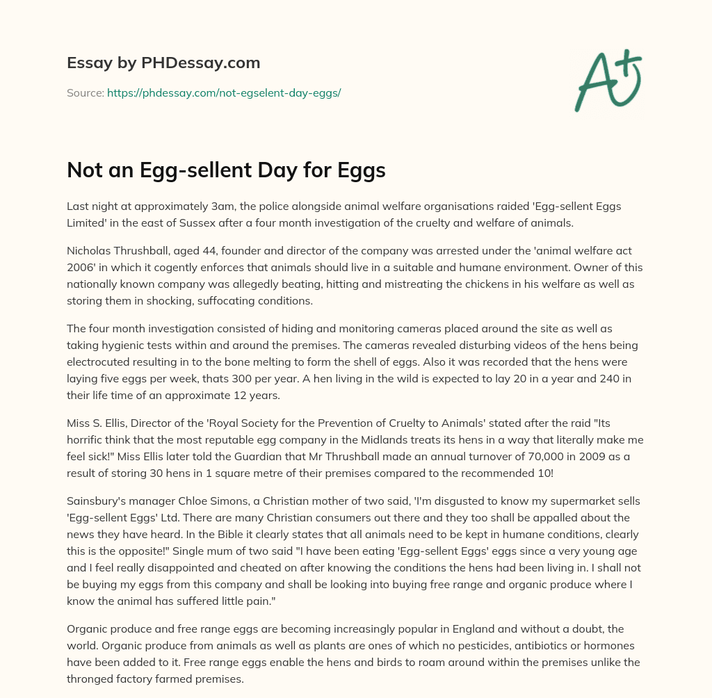 Not an Egg-sellent Day for Eggs essay