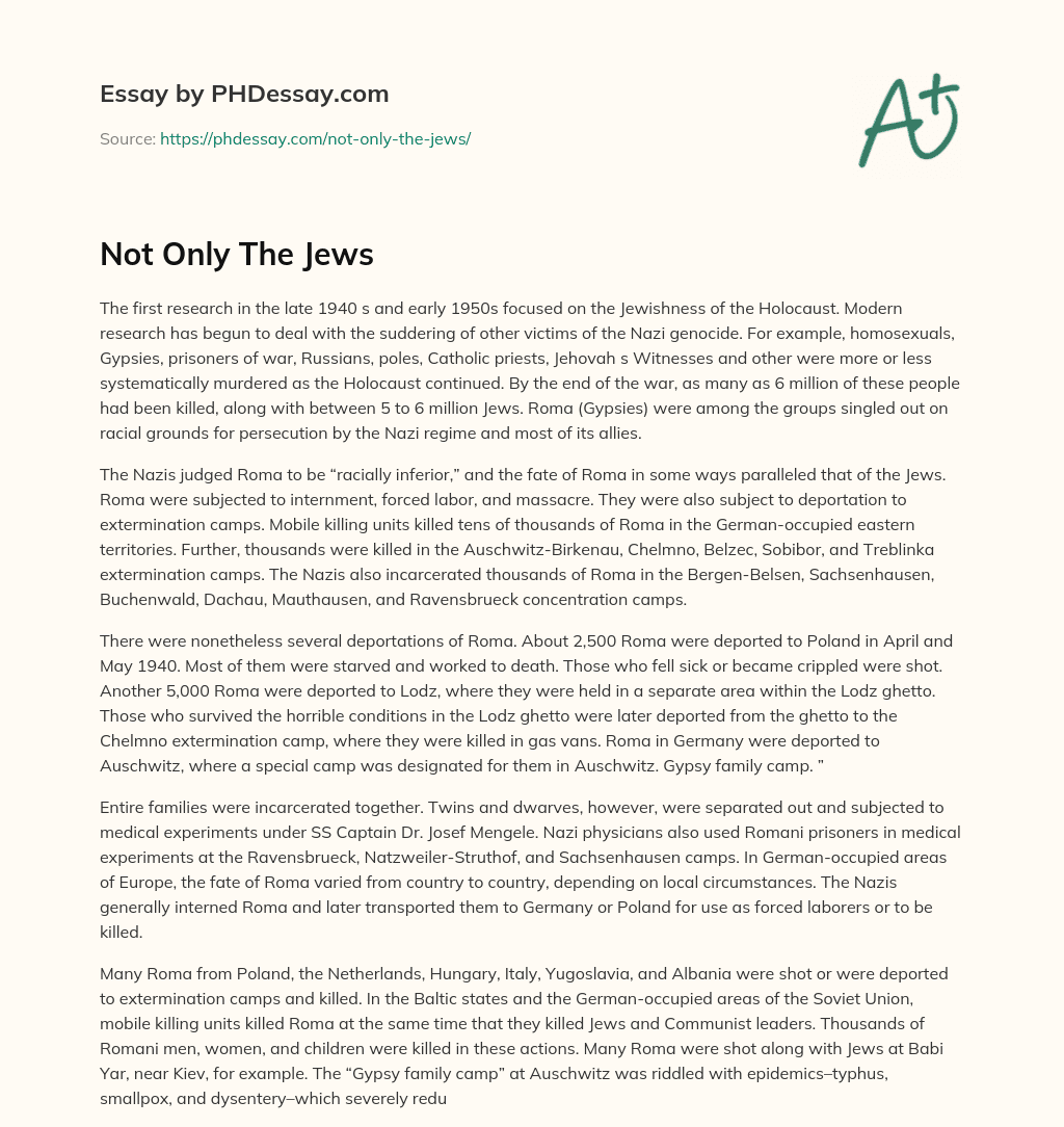 Not Only The Jews essay