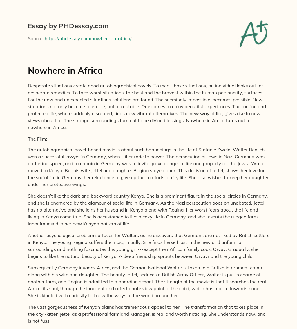 Nowhere in Africa essay