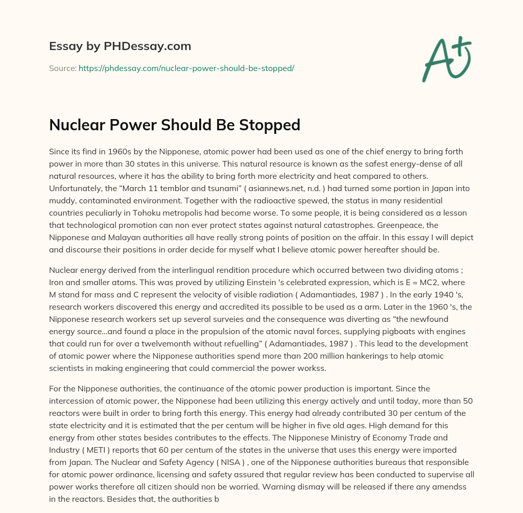 Nuclear Power Should Be Stopped essay