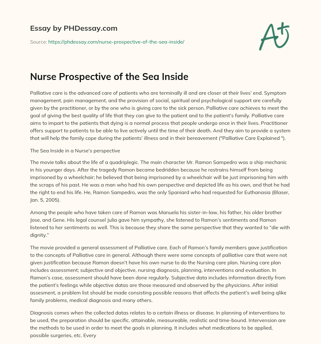 Nurse Prospective of the Sea Inside essay