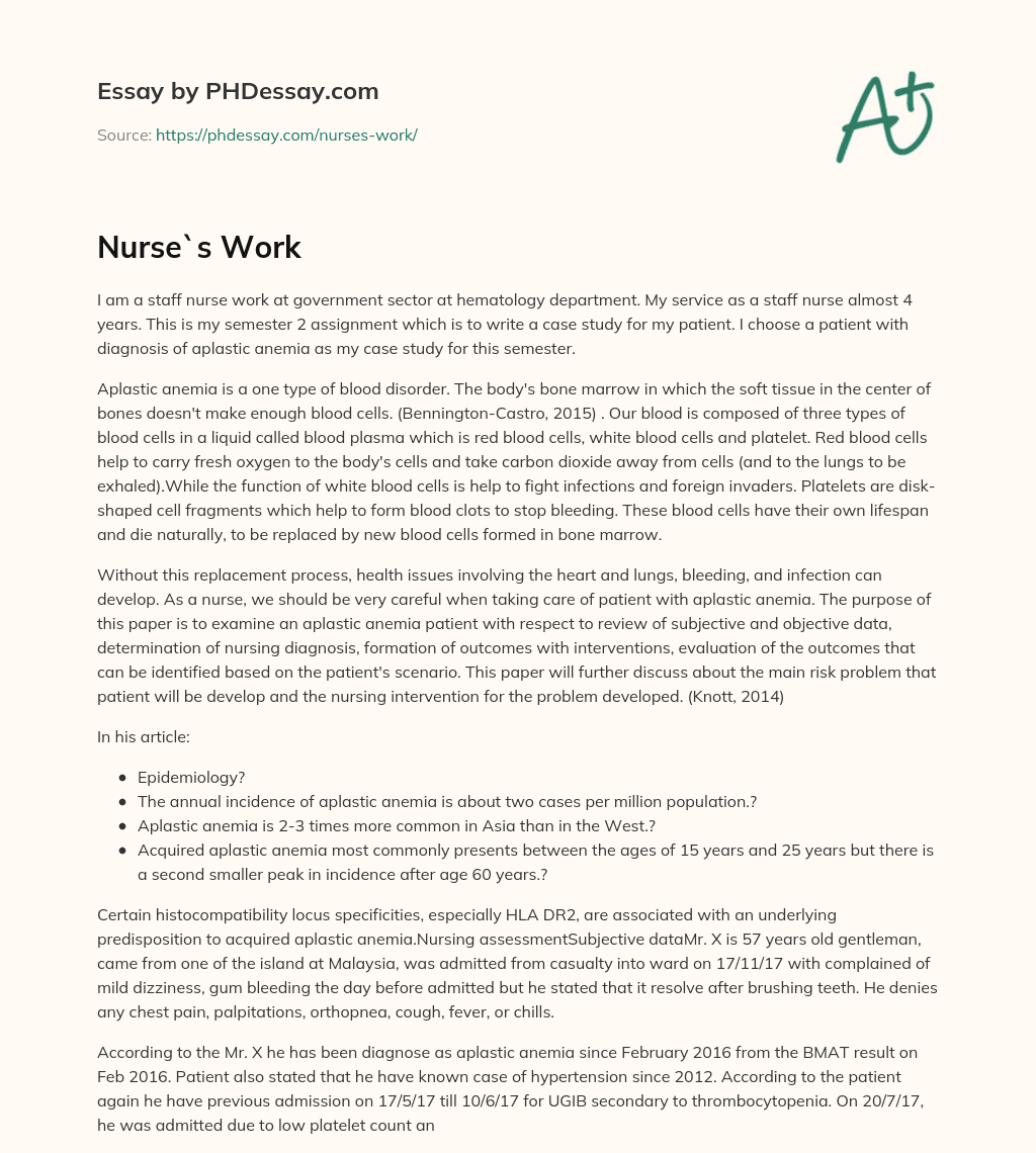 Nurse`s Work essay