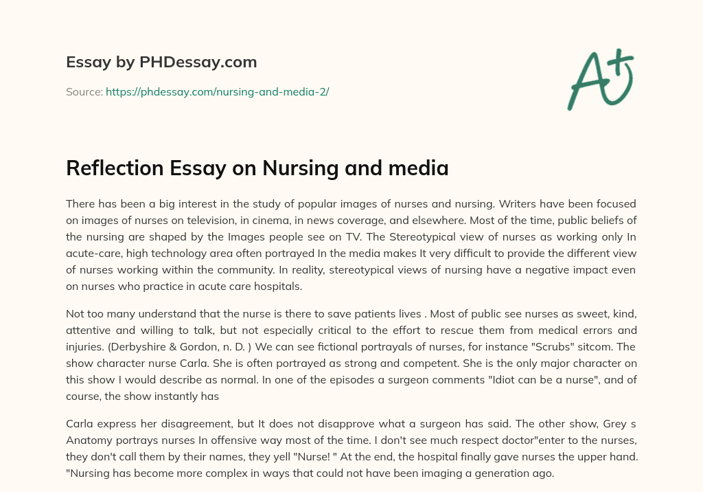 Reflection Essay on Nursing and media essay