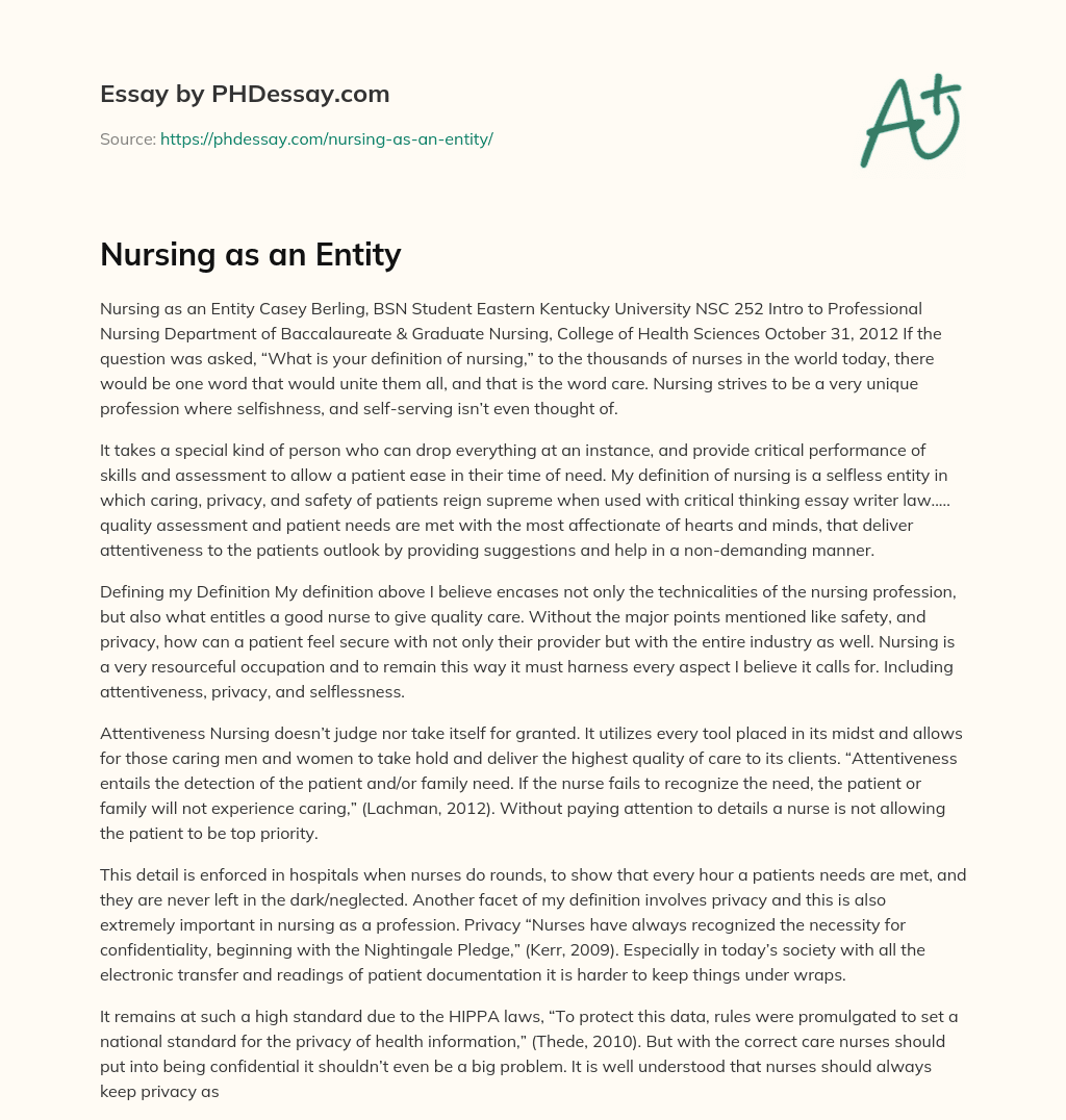 Nursing as an Entity essay