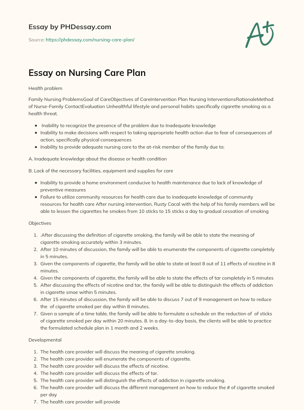 patient care plan essay