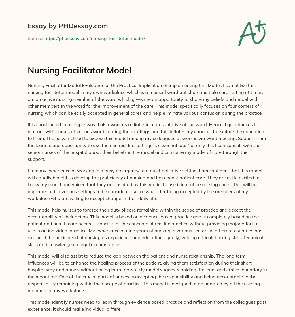 Nursing Facilitator Model essay
