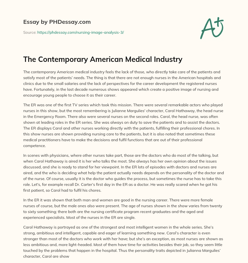 The Contemporary American Medical Industry essay