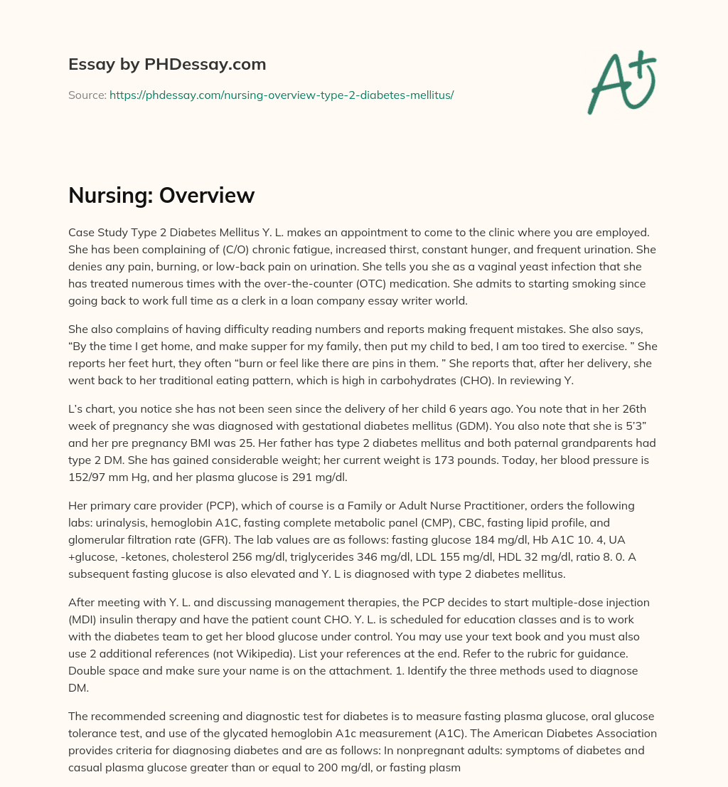 Nursing: Overview essay