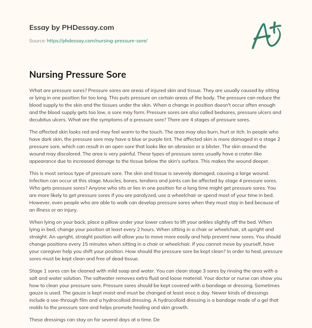 Nursing Pressure Sore essay