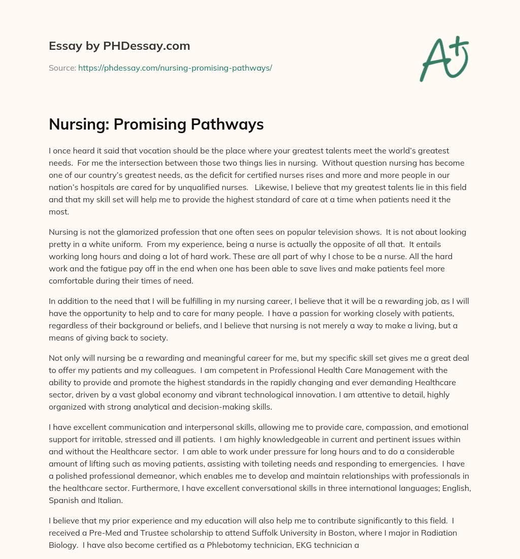 Nursing: Promising Pathways essay