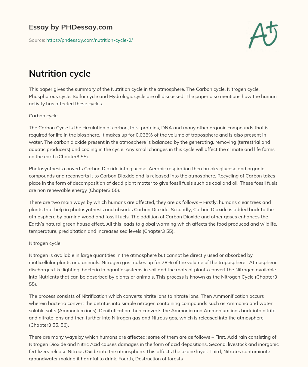Nutrition cycle essay