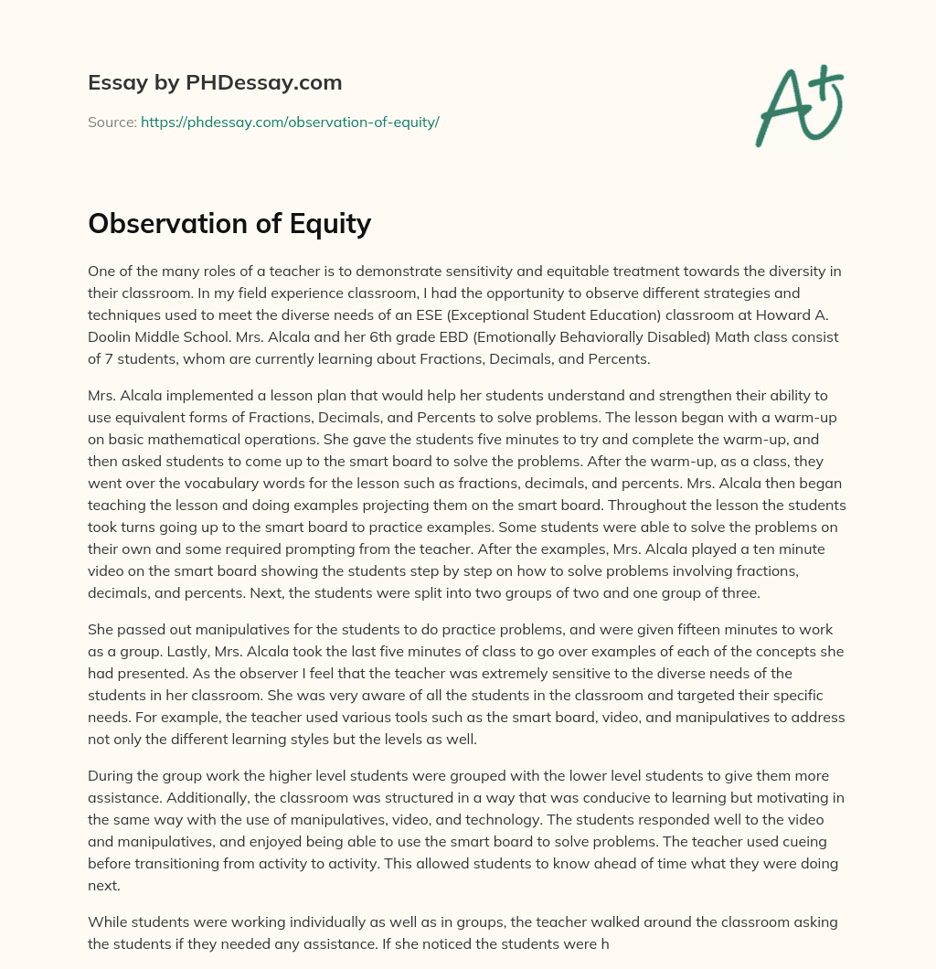 Observation of Equity essay