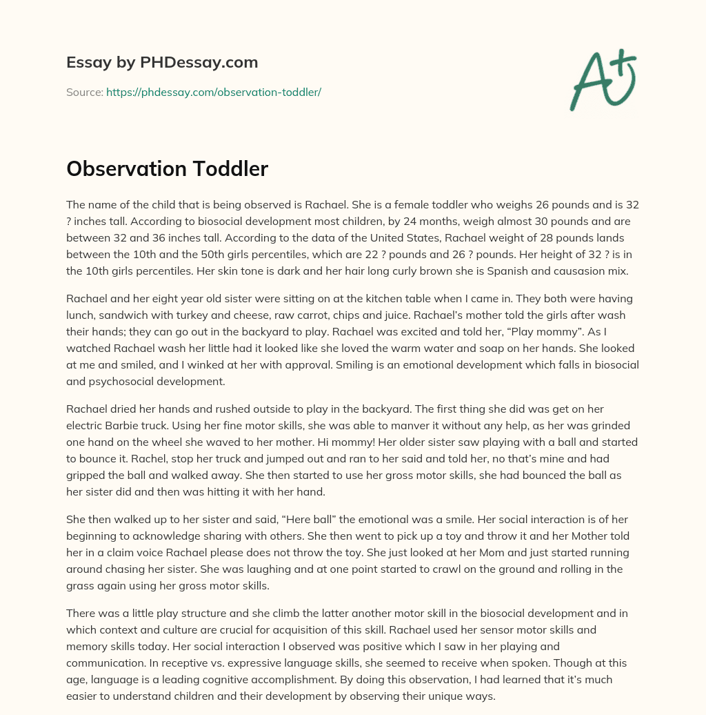 Observation Toddler essay