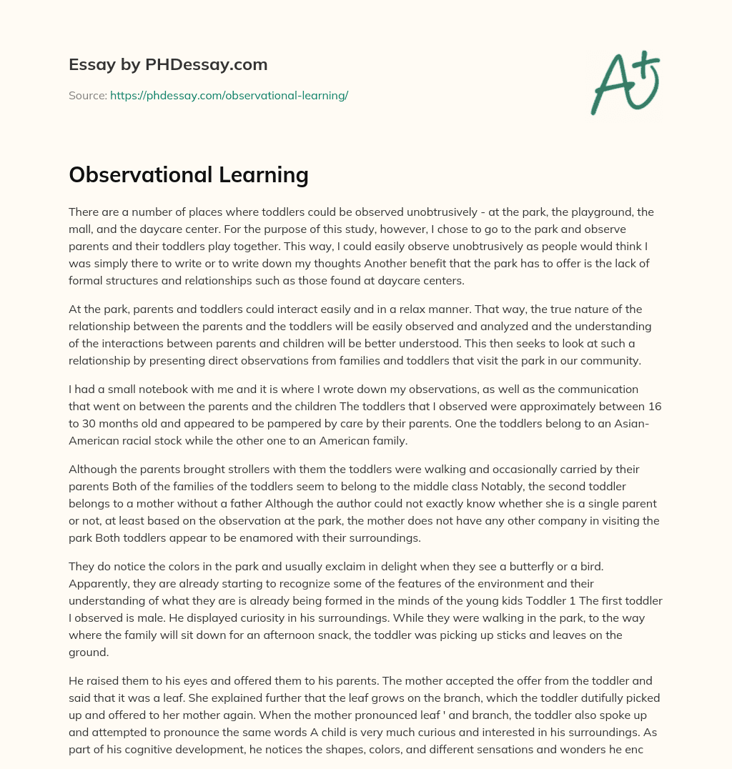 observational learning essay