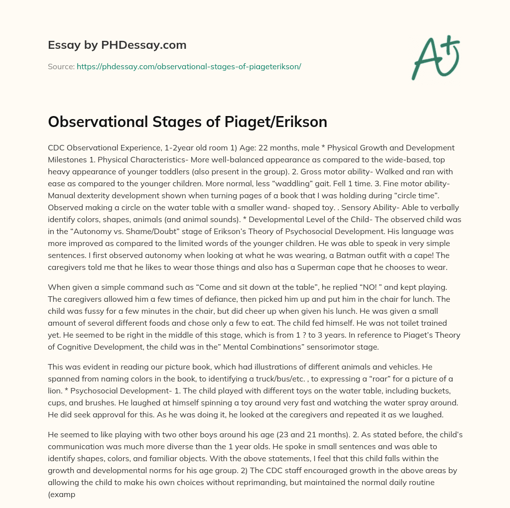 Observational Stages of Piaget/Erikson essay