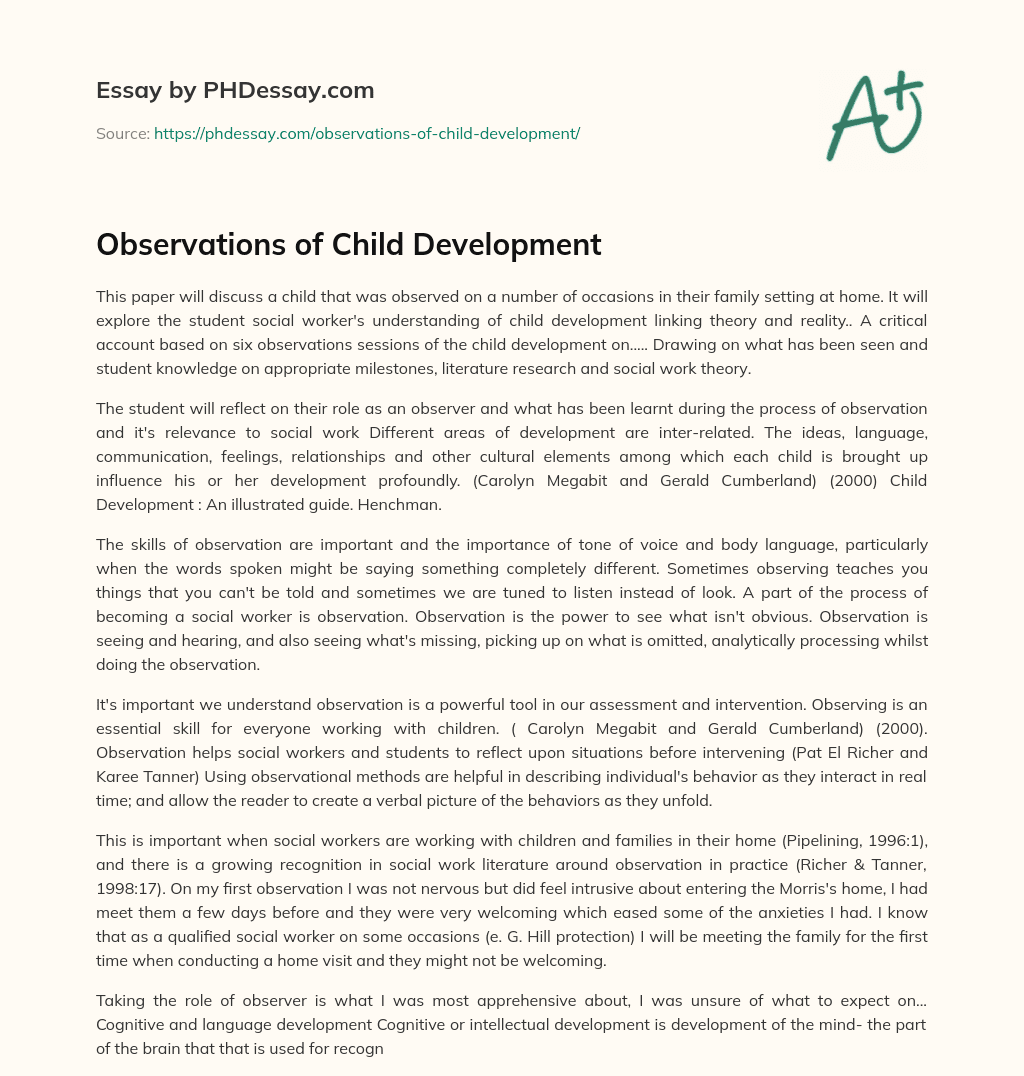 Observations of Child Development essay