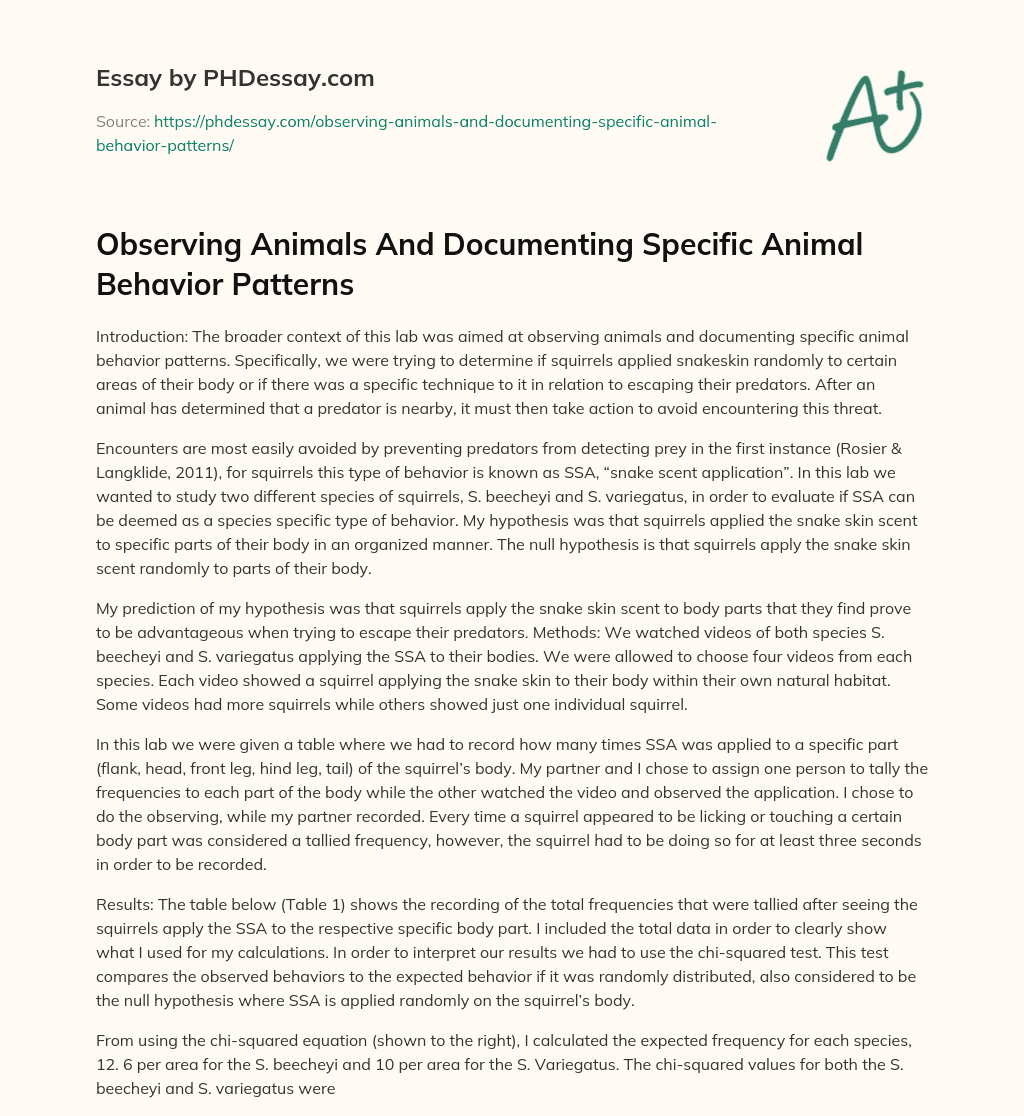 Observing Animals And Documenting Specific Animal Behavior Patterns essay