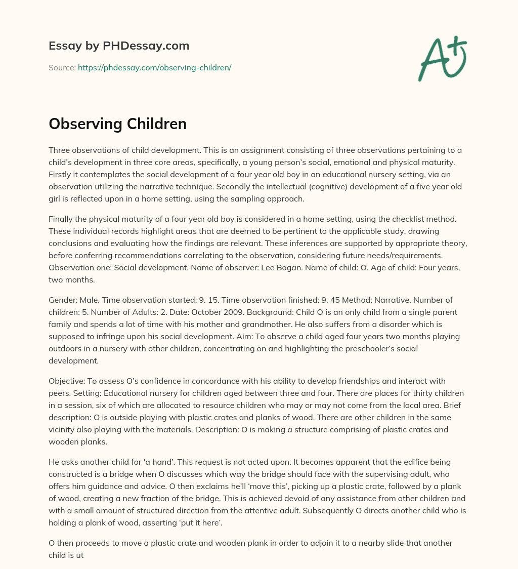 Observing Children essay