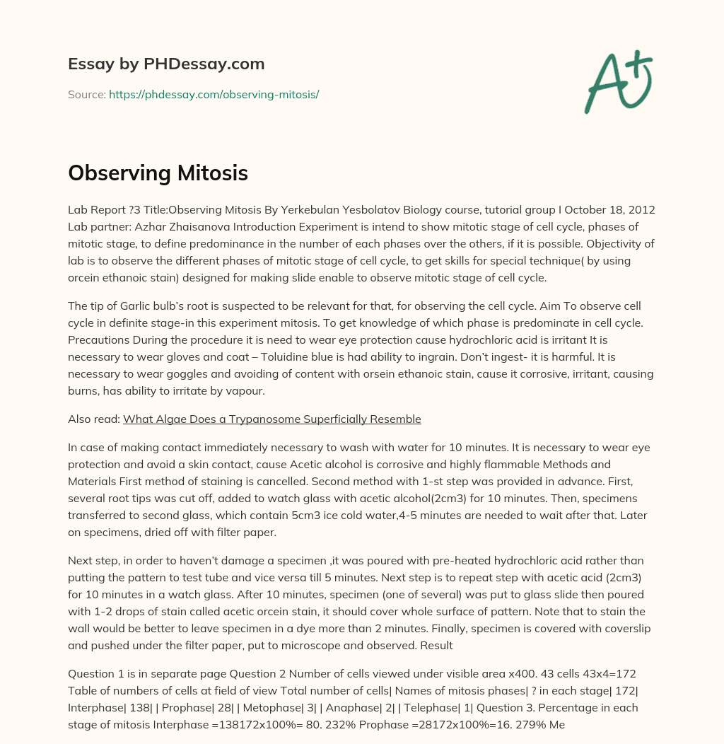 Observing Mitosis essay
