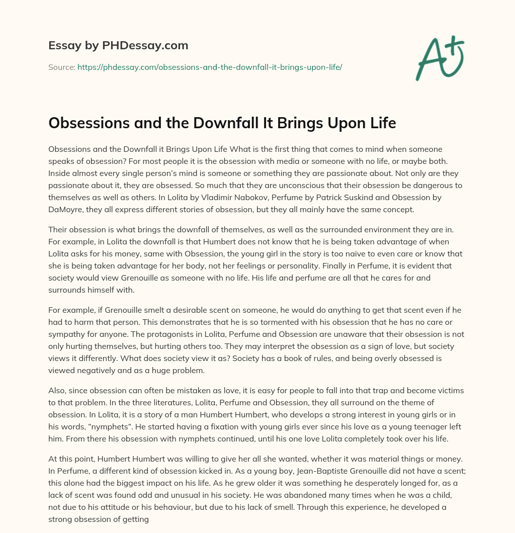 Obsessions and the Downfall It Brings Upon Life essay