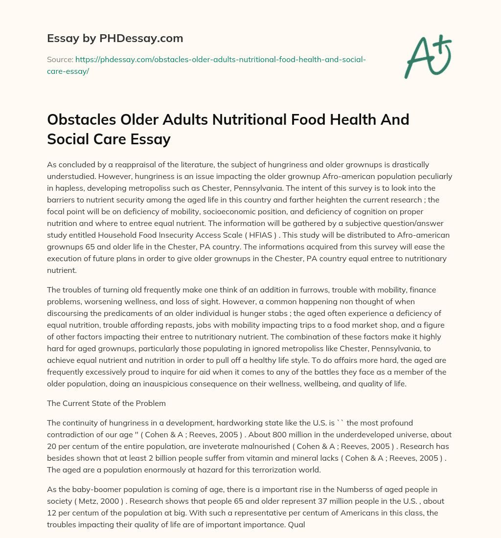 Obstacles Older Adults Nutritional Food Health And Social Care Essay essay