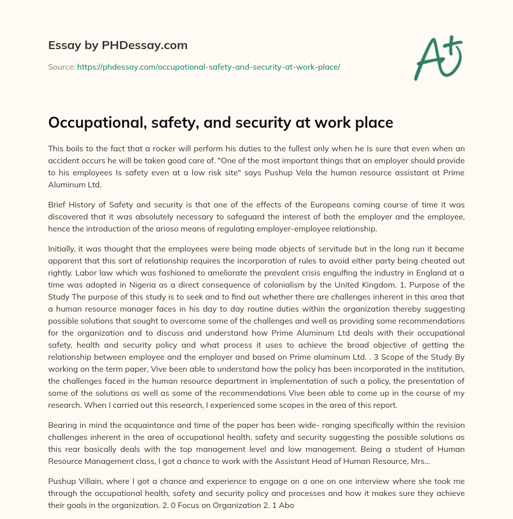 Occupational, safety, and security at work place essay