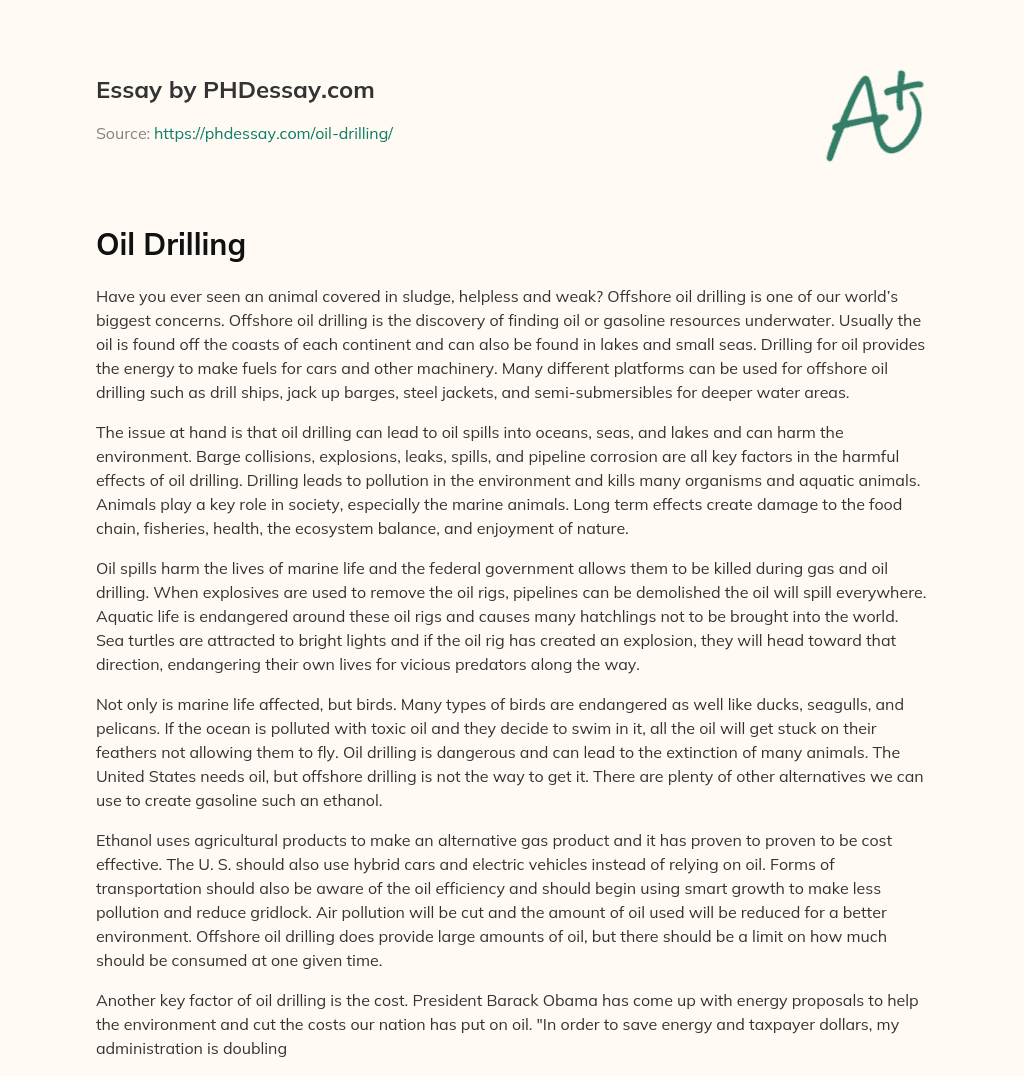 Oil Drilling essay
