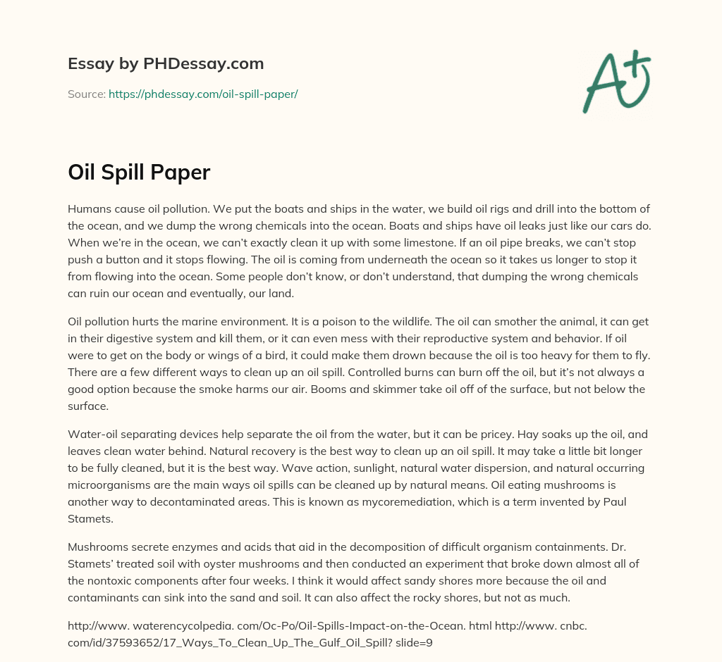 Oil Spill Paper (400 Words)