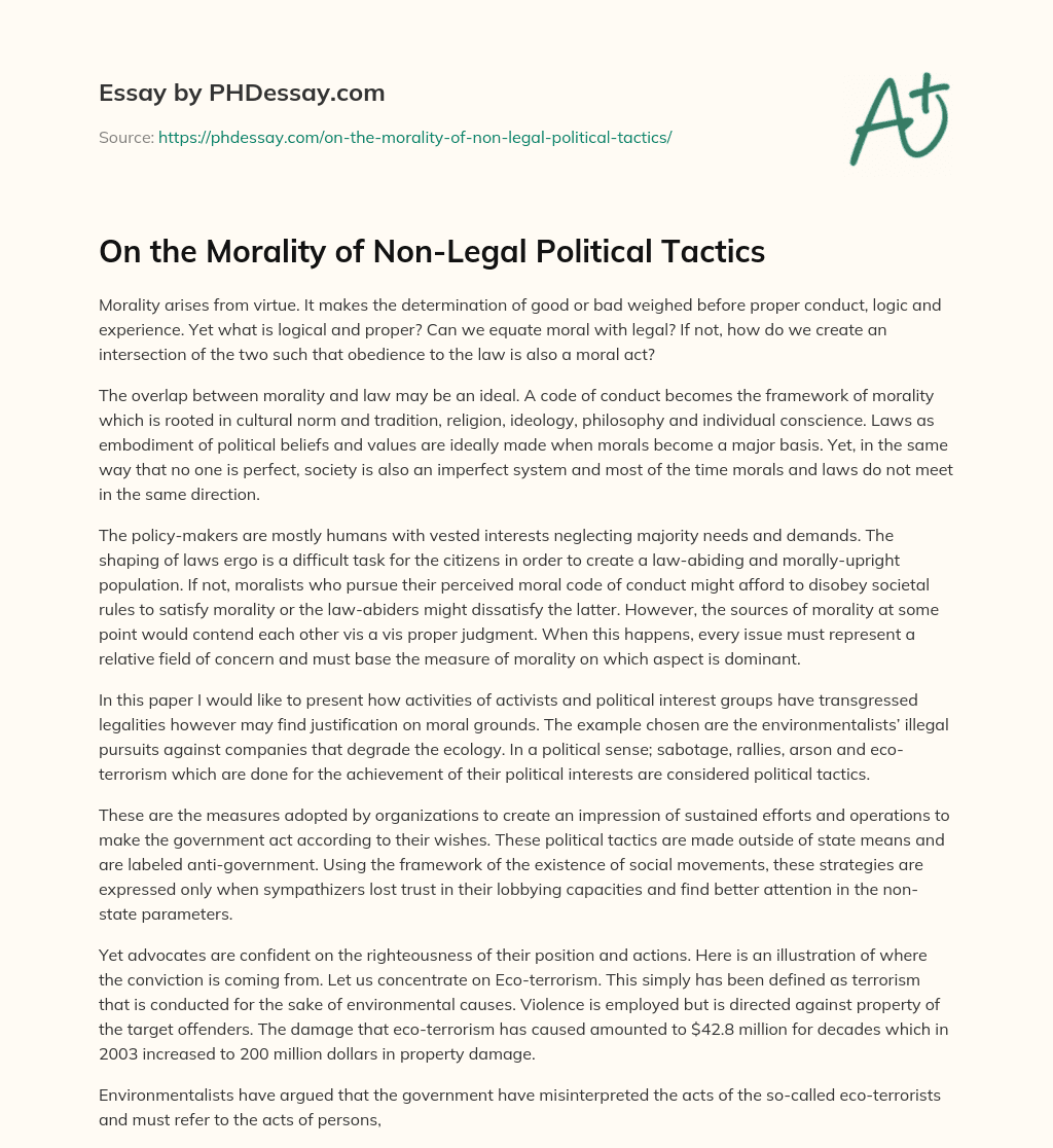 On the Morality of Non-Legal Political Tactics essay