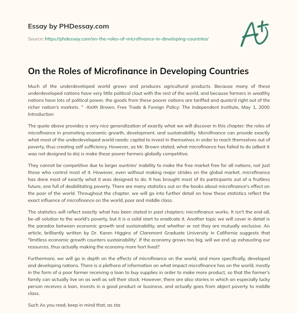 On the Roles of Microfinance in Developing Countries essay